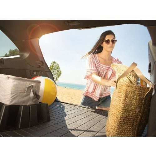 WeatherTech Cargo/Trunk Liner